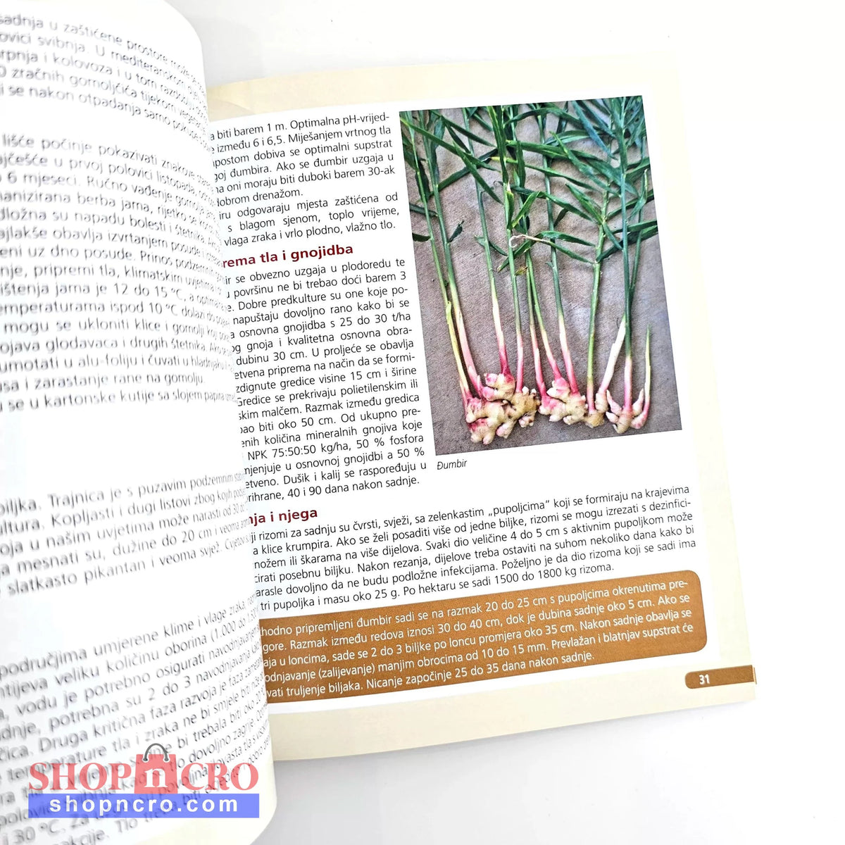 Proizvodnja Krumpira i Ostalog Gomoljastog Povrća: Kako Do Vrhunskog Povrća Book open to a page with text and an image of garlic bulbs